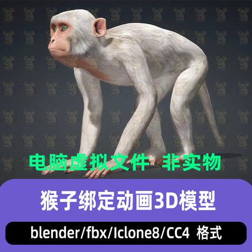 blender猴子动物白化猕猴恒河猴骨骼绑定3d模型maya iclone8 CC4