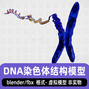 blender影视级医学染色体结构模型DNA序列结构3d模型素材2K贴图
