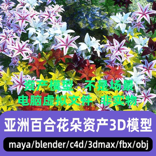 blender影视级写实花朵亚洲百合花资产游戏3d模型 C4D 3dmax maya