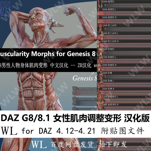 daz3d G8 8.1女性人物肌肉变形器汉化变形插件人物肌肉调整带贴图