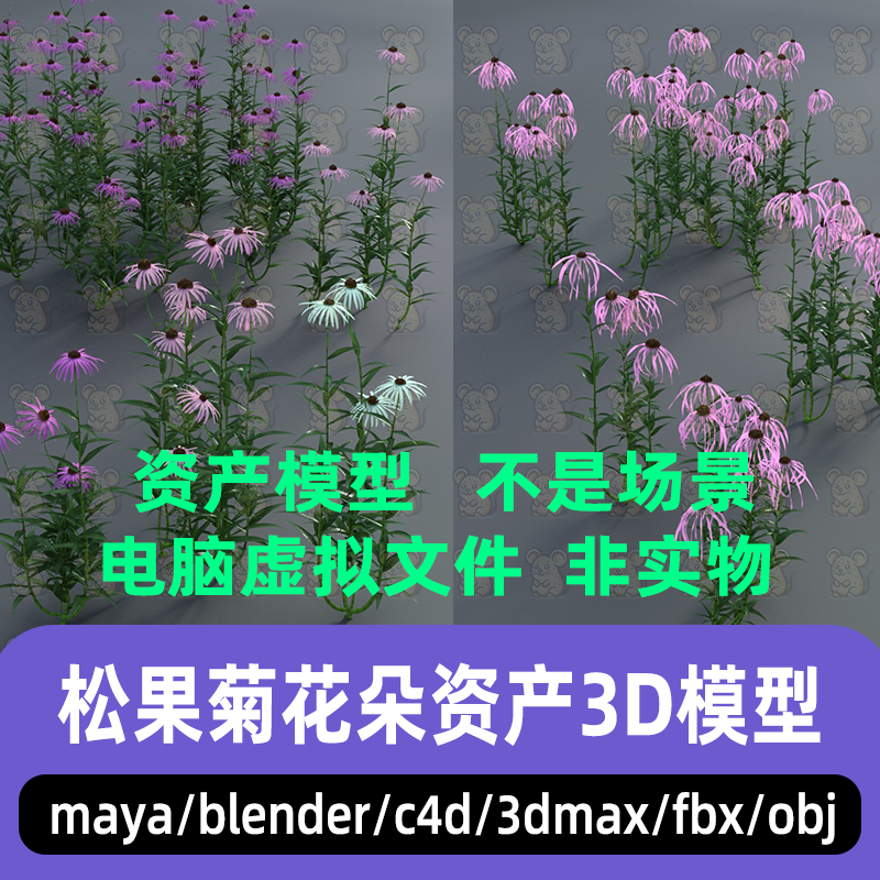 maya影视级花草植物3dmax松果菊花c4d写实花朵资产3d模型blender