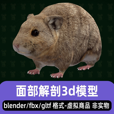 blender小老鼠家鼠模型写实动物游戏老鼠骨骼3d模型动画2K贴图fbx