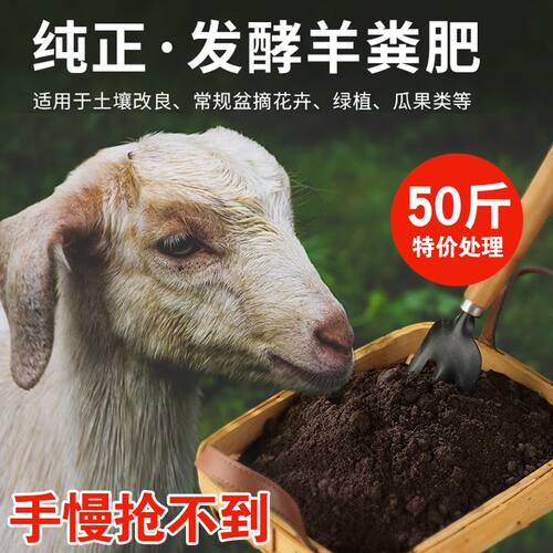 羊粪发酵肥花卉专用有机肥料盆栽内蒙古通用园艺100斤种菜农家肥