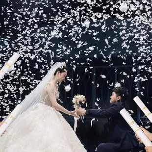 羽毛礼花筒结婚手持小礼炮筒婚礼生日派对求婚喷花筒婚庆用品大全