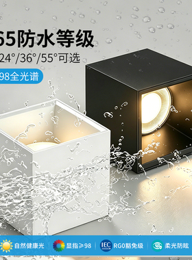 led明装防水筒灯室外店铺门头阳台露台浴室酒店雨棚泳池户外射灯