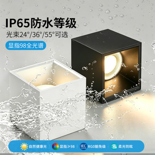 LED明装防水IP65户外筒灯