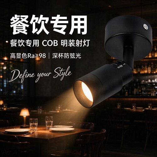 聚光可调变焦明装迷你射灯