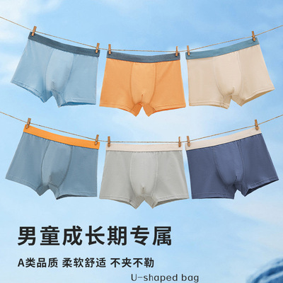 男童儿童平角纯棉内裤