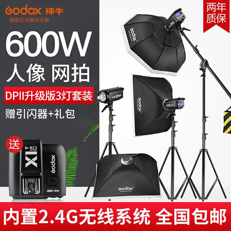 神牛 DP600II二代 摄影灯套装600w 影室闪光灯补光灯摄影棚人像家