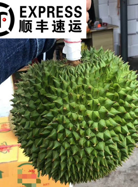 泰国榴莲长柄干尧kanyao榴莲
