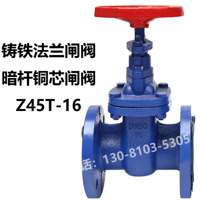 大体国标铸铁铜芯法兰闸阀卡尔森