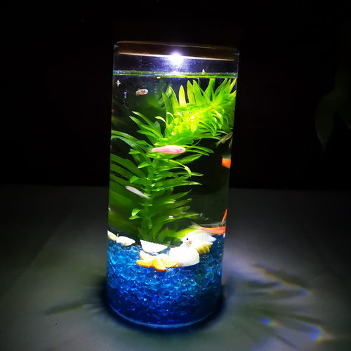 小鱼虾蟹缸造景生态瓶diy材料包微景观配件金鱼藻桌面小鱼缸装饰