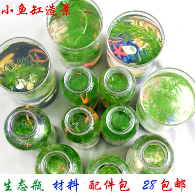 小鱼虾蟹缸造景生态瓶微景观