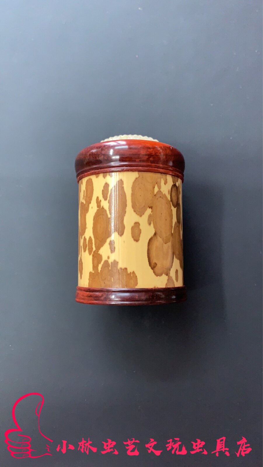 小林虫艺落款豹纹竹养金钟吉尔黄蛉竹蛉红木口盖牛角蒙心68*45mm