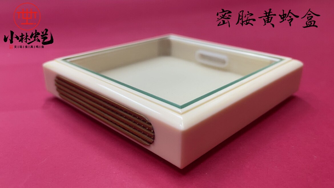 小林虫艺全密胺大方黄蛉盒小林商标落款养大黄蛉小黄蛉金铃子仙子