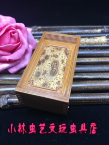 小林虫艺新到老竹暗板竹蛉盒养竹蛉金钟马铃大黄蛉尺寸84*44*37