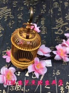 小林虫艺微型精品竹蛉笼青竹蛉紫竹蛉黑竹蛉活体鸣虫虫具竹蛉笼子