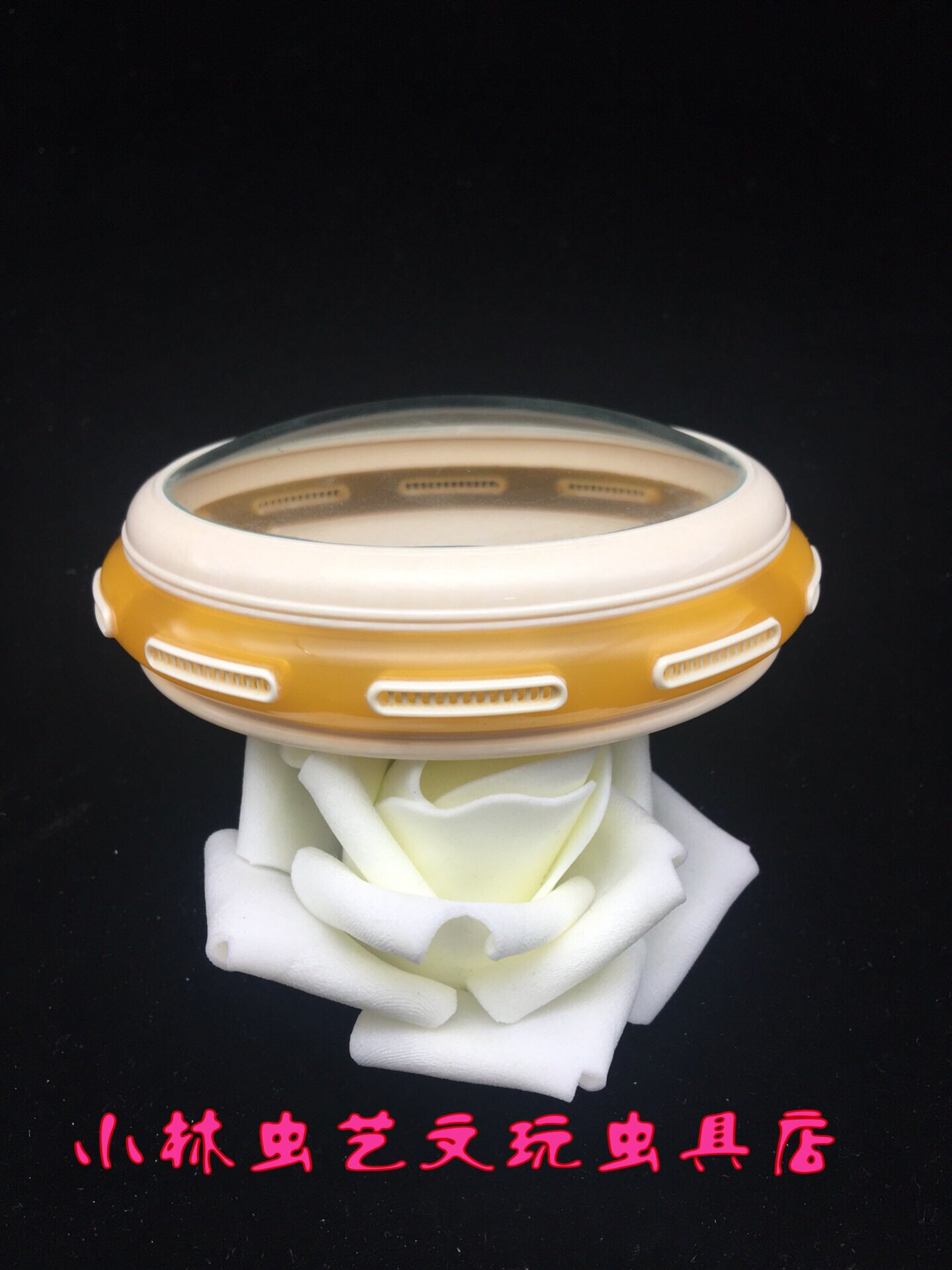 小林虫艺自产仿密腊镶嵌十窗带落款养金钟竹蛉大黄蛉100*30