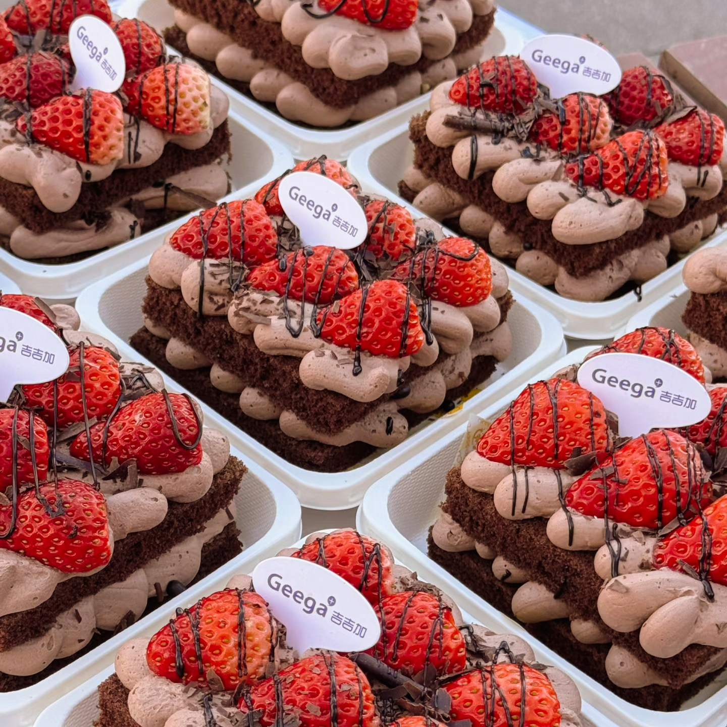 瑞丽草莓巧克力蛋糕盒黑森林包装盒加厚防雾4寸蛋糕切快提拉米苏3,厨房/烹饪用具,点心包装盒/包装袋,淘宝优惠券,粉丝福利购,淘宝优惠卷