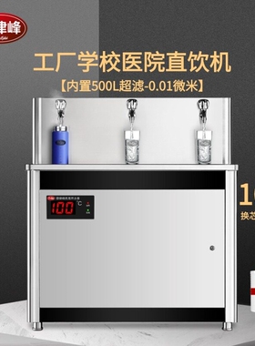 德律峰工厂车间学校医院直饮水机水器净水器冷热餐厅工地商用开