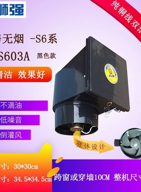 狮强牌S603A厨房油烟排气扇家用气扇静音吸抽风机10寸窗式强力换