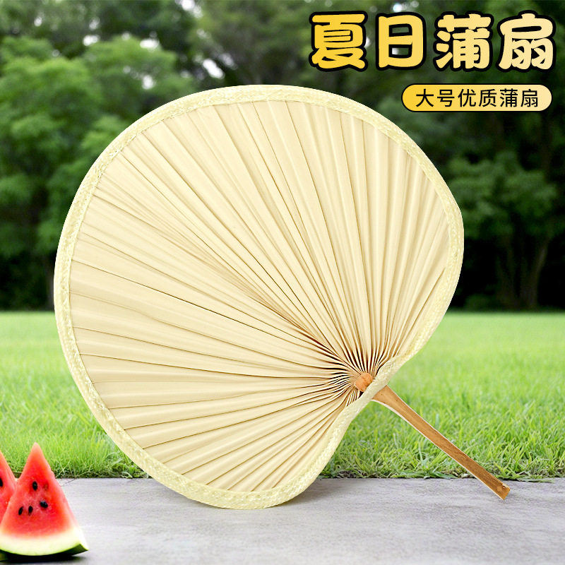 蒲扇夏季扇子便携芭蕉扇老式大扇子古风扇手工老式儿童驱蚊蒲扇子图片
