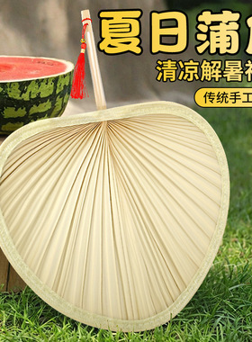 蒲扇夏季扇子便携芭蕉扇老式大扇子古风扇手工婴儿儿童驱蚊蒲扇子