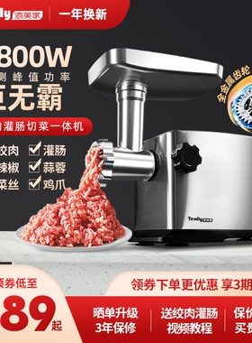 Tenfly添美家电动家用绞肉机小型