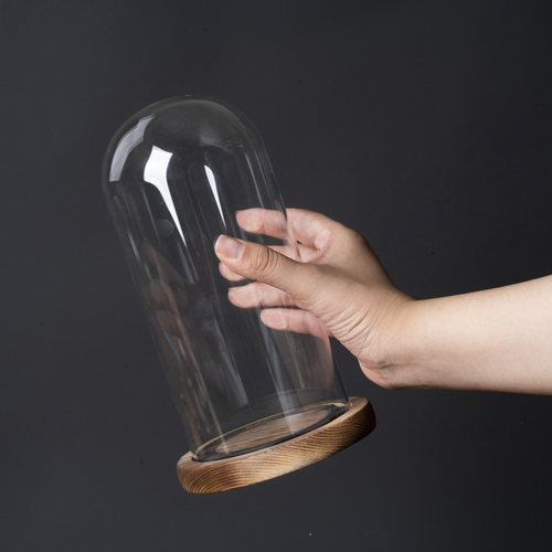 EVA火烧色底座玻璃罩透明防滑展示盒干花人偶积木手模手办防尘罩