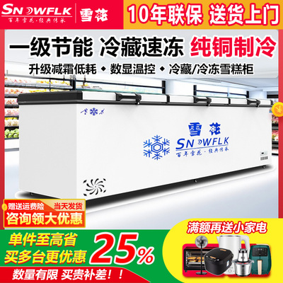 雪花商用大容量冷柜卧式冷冻柜