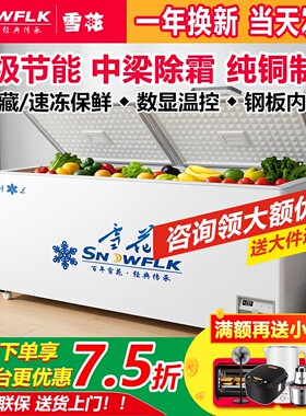 雪花商用大容量冷柜卧式冷冻柜