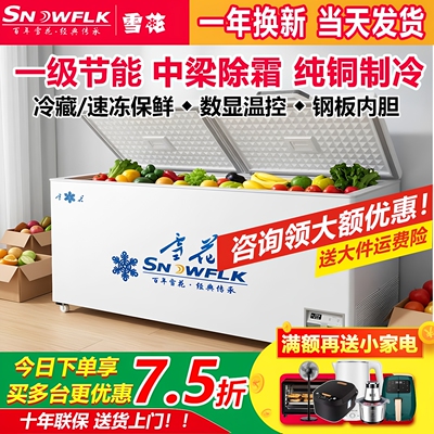 雪花商用大容量冷柜卧式冷冻柜