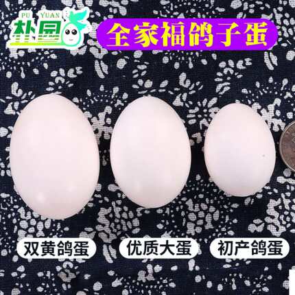 【双黄蛋套餐】朴园品牌20枚优质大个鸽子蛋+10超大双黄鸽蛋鸽蛋