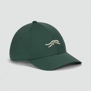代购sundayred Cypress Tour 6 老虎伍兹同款高尔夫运动球帽绿色