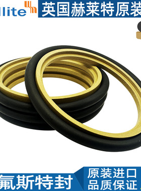 赫莱特H16进口斯特封轴用液压145 150 155*160.1 165.5 170.5*6.3