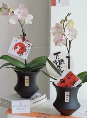 极简造型盆小众简约风个性盆栽诧寂风禅意客厅蝴蝶兰绿植盆