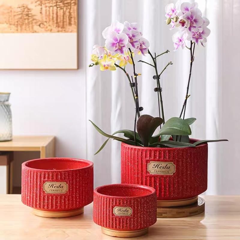 大口径蝴蝶兰花盆陶瓷