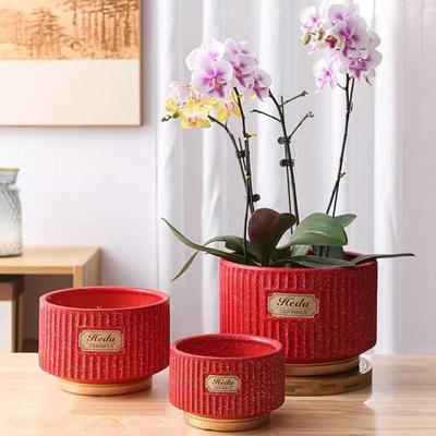 大口径蝴蝶兰花盆陶瓷