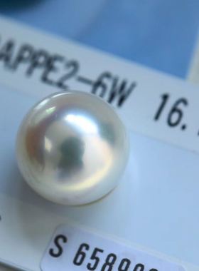 日本证书大尺寸珍珠