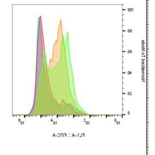 流式数据分析 1V1指导 flowjo教程,教学,图形优化 调节补偿