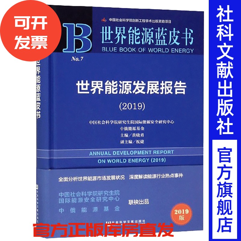 世界能源发展报告（2019） 黄晓勇 主编 世界能源蓝皮书201906