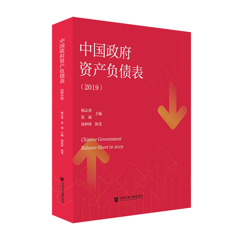 现货 官方正版 中国政府资产负债表（2019） 杨志勇 张斌 主编;汤林闽 执笔 国家行政机关高性价比高么？