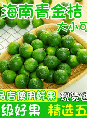 海南青金桔新鲜果子小柠檬桔子大中小5斤饮品奶茶店原料整箱包邮