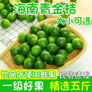 海南青金桔新鲜果子小柠檬桔子大中小5斤饮品奶茶店原料整箱包邮