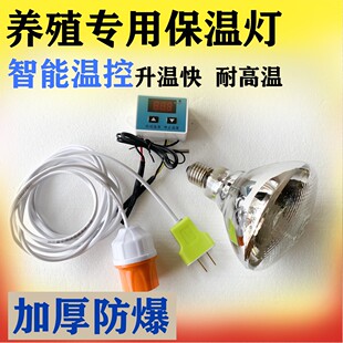 鸡苗鸭苗鹅苗专用养殖脱温器