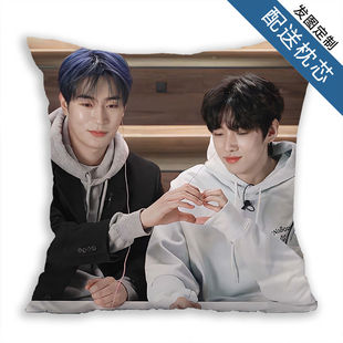 语义错误朴栖含朴宰灿周边同款抱枕海报床头靠背垫定制做照片枕头