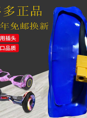 通用各内平衡车理电池厂家批发