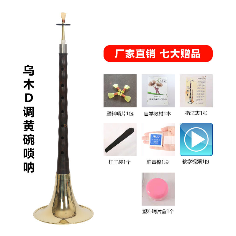唢呐乐器全套初学者D调成人入门C大中小号喇叭送哨片降B乌木D调黄