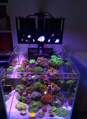 diy蚂蚁海缸灯全自动珊瑚灯