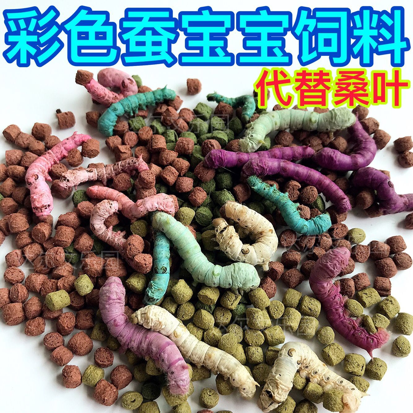 彩色蚕宝宝变色颗粒饲料天然新配方代替新鲜桑叶大小盒七彩蚕饲料 宠物/宠物食品及用品 蚕宝宝 原图主图